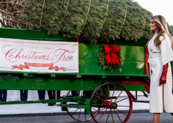 First lady Melania Trump welcomes Christmas tree to the White House