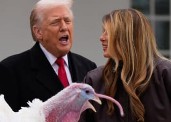 Leftists call for Black Friday shopping boycott against companies with Trump ties