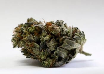 JAMA study finds 'insufficient evidence' for most cannabis health claims