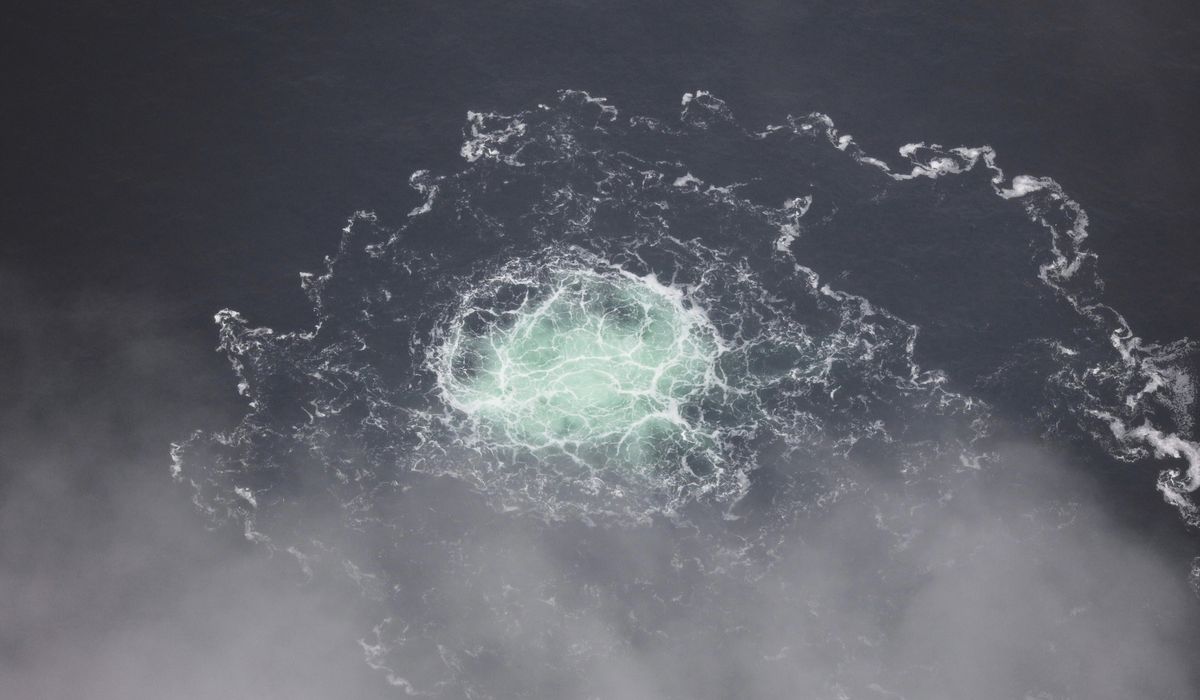 Ukrainian man arrested in Germany over 2022 Nord Stream pipeline explosions