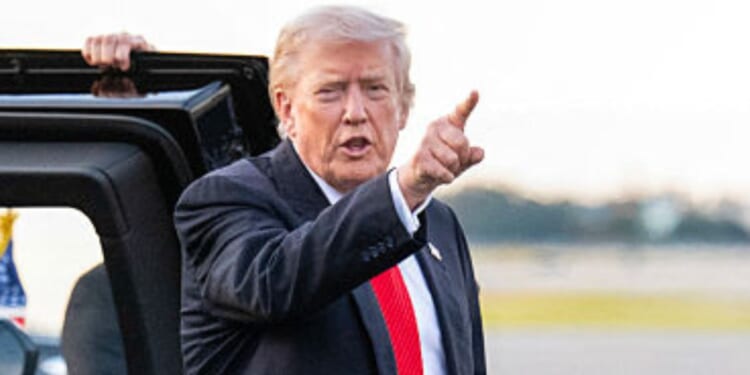 President Donald Trump offered a last-minute endorsement of Andrew Cuomo for mayor of New York City.