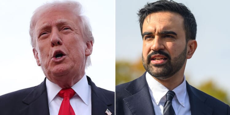 President Donald Trump said New York City Mayor-elect Zohran Mamdani wants to meet with him, so "we'll work something out."