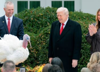 President Donald Trump pardons National Thanksgiving Turkey Gobble outside the White House in Washington, DC on Nov. 25, 2025.