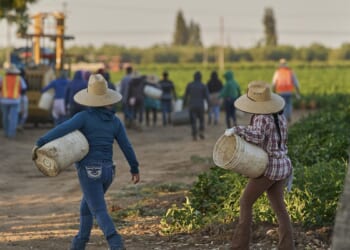 DHS slashes work permit term for migrants from 5 years to 18 months