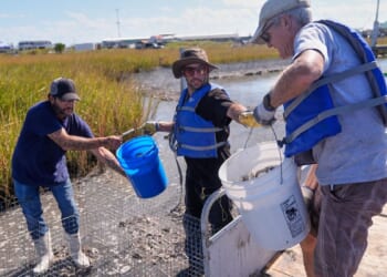 Some Louisiana tribes are fighting to protect what's left of their communities