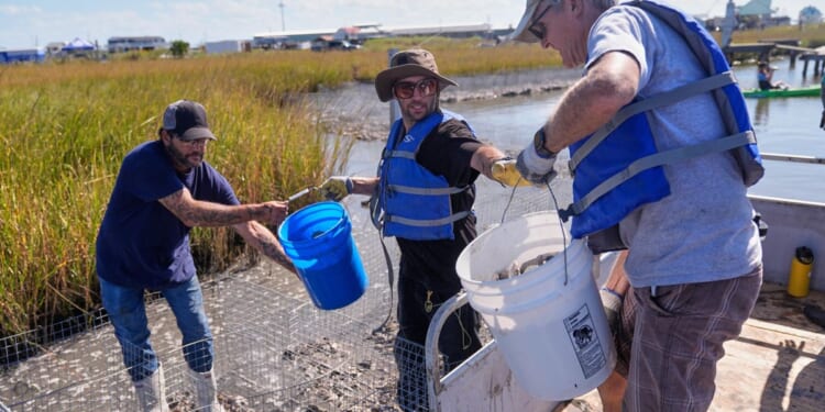 Some Louisiana tribes are fighting to protect what's left of their communities