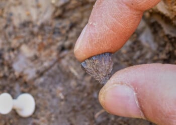 Study: Humans were making fire 400,000 years ago, far earlier than once thought