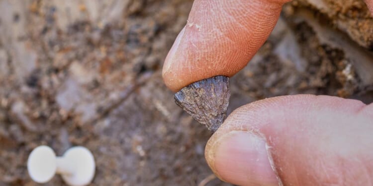 Study: Humans were making fire 400,000 years ago, far earlier than once thought