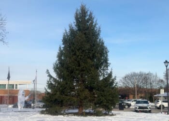 Detroit suburb finds a real Christmas tree -- instead of a fake one from China -- just in time