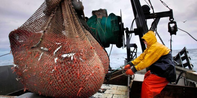 New England's shrimp fishery to shut down for the long haul after years of decline
