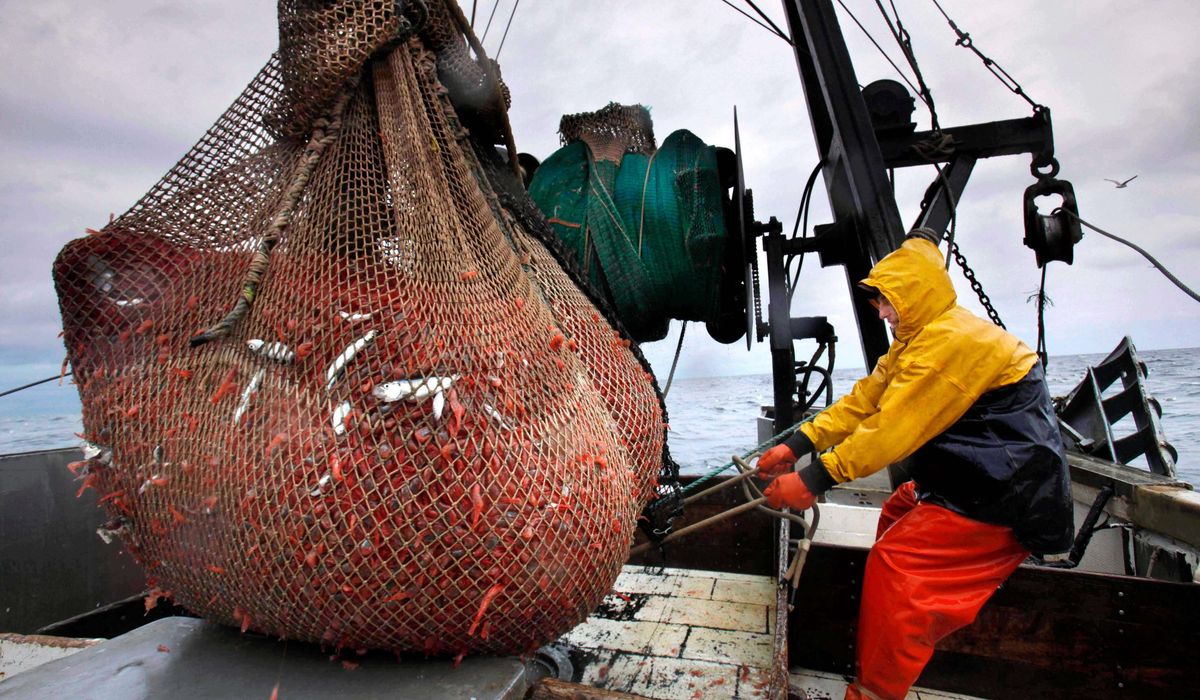 New England's shrimp fishery to shut down for the long haul after years of decline