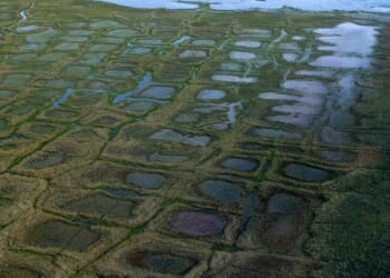 Lawsuit challenges the approval of drilling program in Alaska petroleum reserve