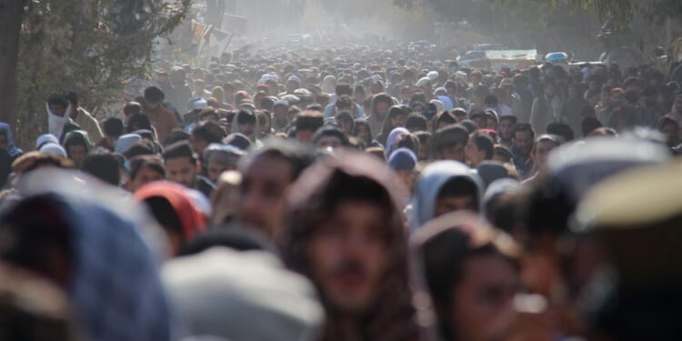 UN: Millions facing acute food insecurity in Afghanistan as winter looms