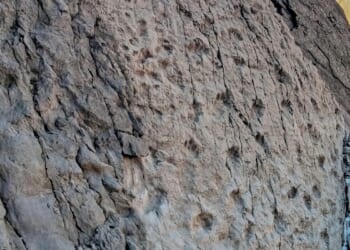 A photographer finds dinosaur footprints near Italian Winter Olympic venue