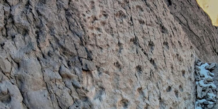 A photographer finds dinosaur footprints near Italian Winter Olympic venue
