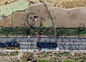 High-speed train kills 7 elephants crossing railway tracks in northeast India