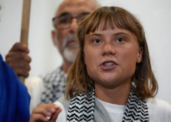 Greta Thunberg arrested in London while supporting pro-Palestinian activists