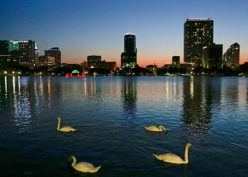 Officials suspect bird flu after 12 swans die at Orlando's Lake Eola