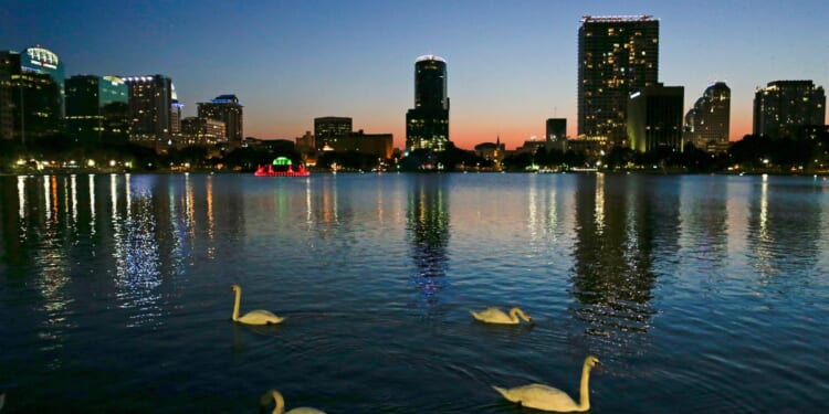 Officials suspect bird flu after 12 swans die at Orlando's Lake Eola
