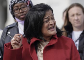Jayapal and Friends Trying to Spring Illegals From Detention WIth Taxpayer Funded Lawyers – HotAir
