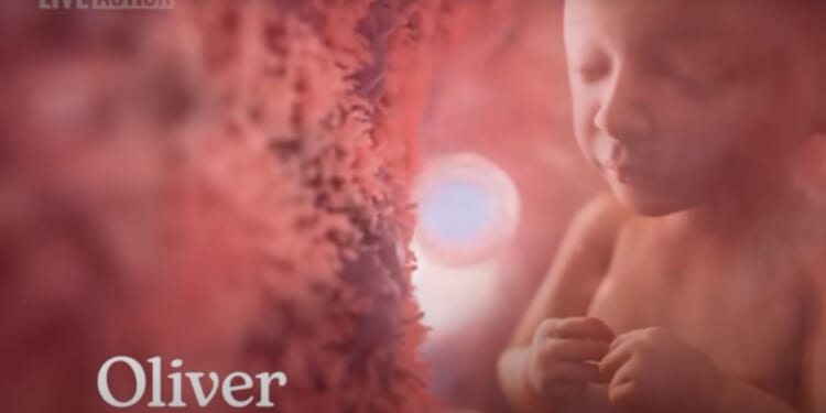 "Baby Oliver," a new film by pro-life group Live Action, reveals the hidden world of the first days of life in the womb.