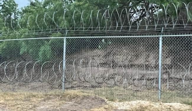 When Sanctuary Politics Put a Knife to an Innocent American – PJ Media