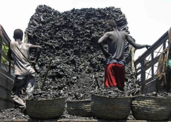 ‘Minnesota Somalis Are as Minnesotan as Tater-Tot Hotdish,’ But There’s Just One Catch – PJ Media