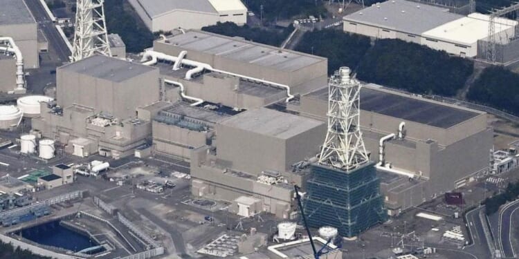 Japan's nuclear watchdog halting plant's reactor safety screening over falsified data