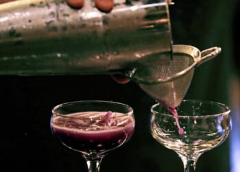 Raise a glass: House panel finds anti-drinking bias in Biden-era study warning of alcohol risks