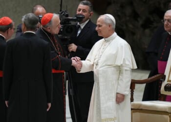Pope Leo convenes cardinals and asks their priorities for 2 years, with Latin Mass off the agenda