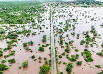 What to know about the devastating floods in southern Africa