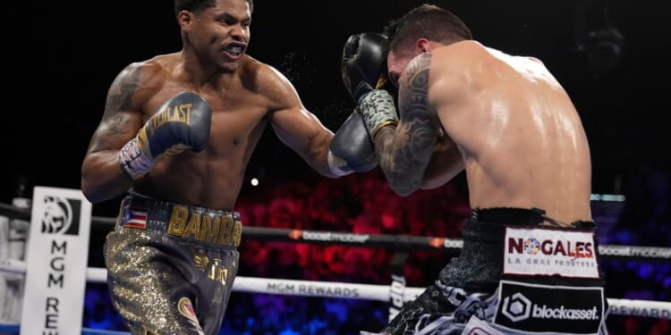 Madison Square Garden: fighting can lead to ban for life after brawls at Friday night event