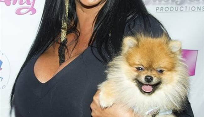 The Yappy Little Dog Syndrome – PJ Media