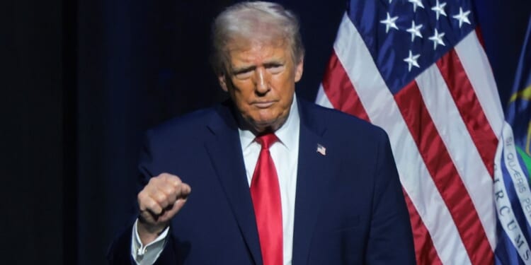 A prominent economist said if you look closely at at U.S. employment figures, there’s some very encouraging information concerning the job situation under President Donald Trump.