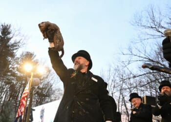 Punxsutawney Phil predicts six more weeks of winter after seeing his shadow