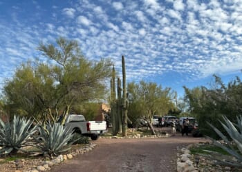 Savannah Guthrie, 'Today' show host, asks for prayers to help bring her missing mom home