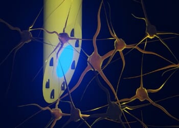 New brain implant can shine light, record signals and deliver drugs all at once