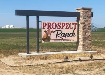 Businesses fined by government over 6 deaths at Colorado dairy