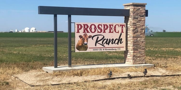 Businesses fined by government over 6 deaths at Colorado dairy