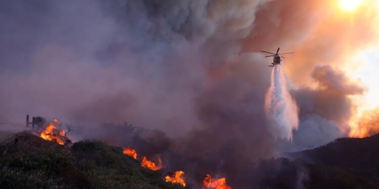 LA firefighter testifies he warned brush fire wasn't out before massive blaze ignited