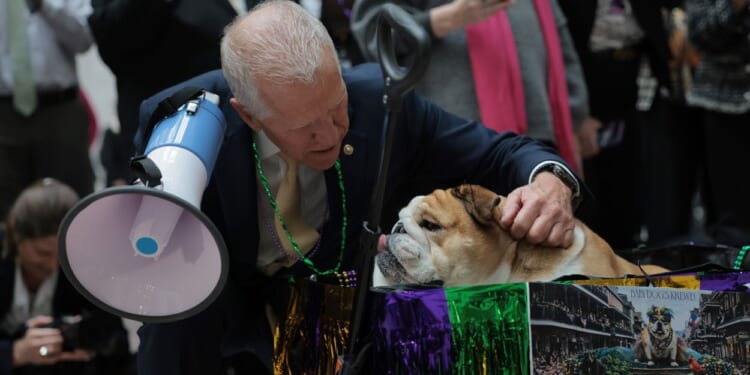 Senate Mardi Gras Dog Parade Draws Backlash