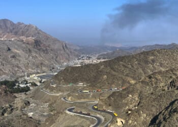 Pakistan's president defends ongoing strikes in Afghanistan and urges Kabul to dismantle militants