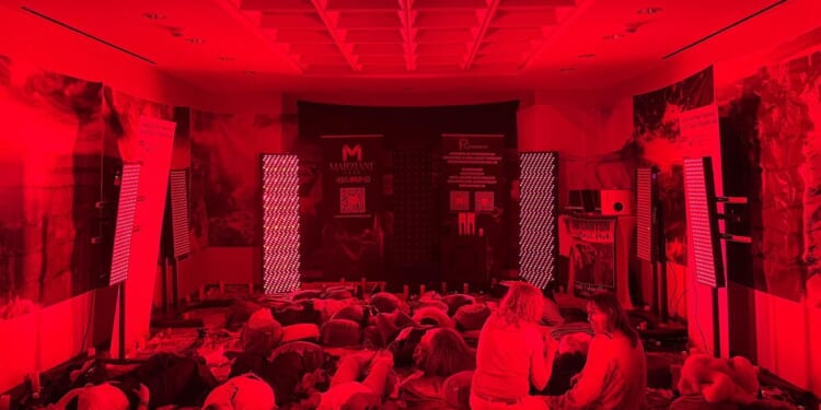 Starseeds, government plots and an alien mantis: Inside New Age spirituality's new age