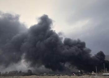 What the latest numbers show