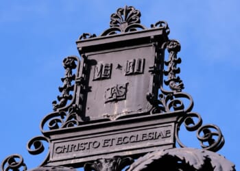 Nearly 9 in 10 college presidents say Trump’s policies are hurting higher education, survey shows