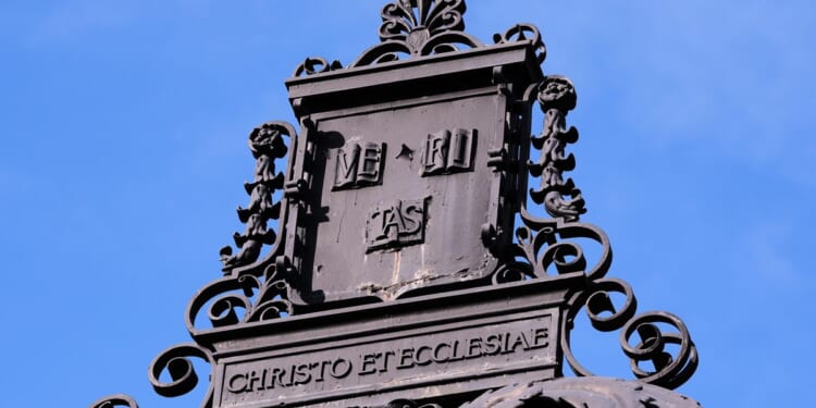 Nearly 9 in 10 college presidents say Trump’s policies are hurting higher education, survey shows