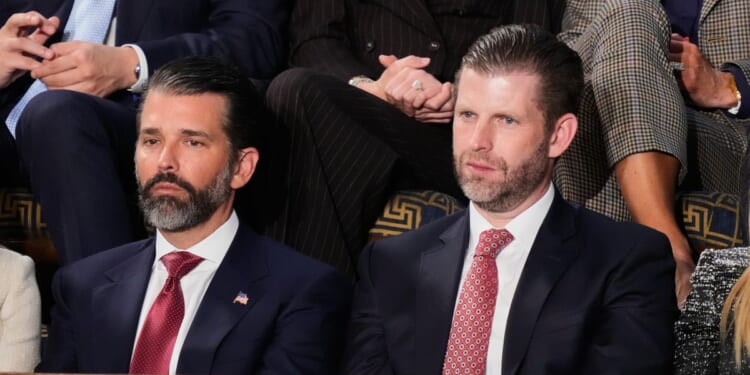 New drone maker partly owned by Trump sons hopes to win Pentagon contracts