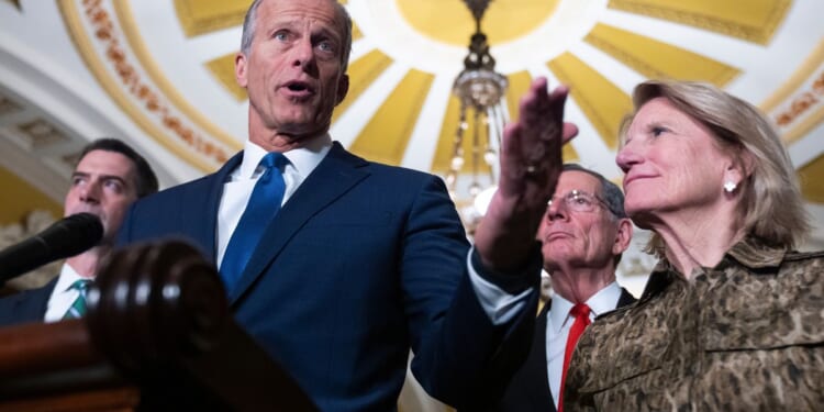 Senate launches bitter floor battle over voter ID legislation