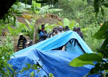 Landslides triggered by heavy rainfall kill at least 20 people in Tanzania