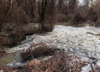 Virginia boat owner joins class-action suit against DC Water over Potomac Interceptor sewage spill